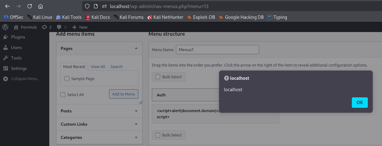 Proof of Concept: XSS